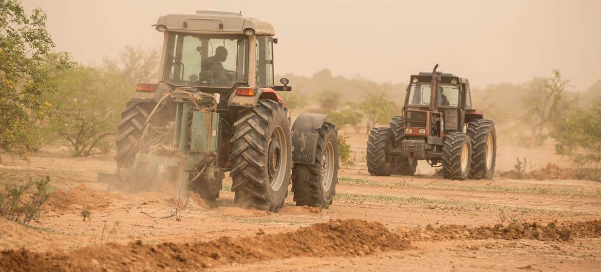 Innovation et tradition ramènent à la vie les terres africaines dégradées