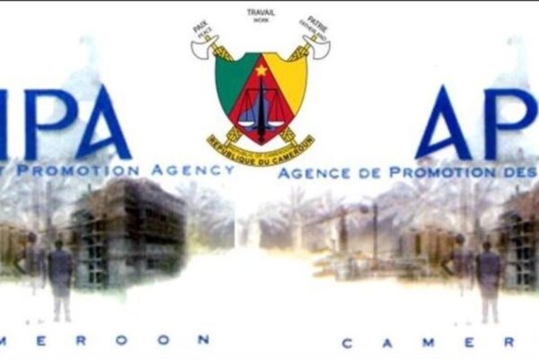 Cameroun : L’Api veut aider à combler le déficit commercial