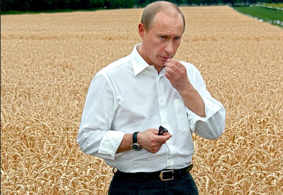 Poutine et le Blé