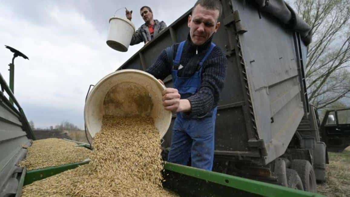 céréales russes
