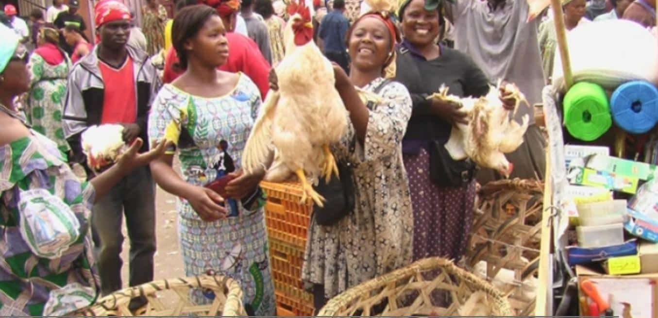 Veille de Noël – les prix flambent : Le Poulet à prix d’or