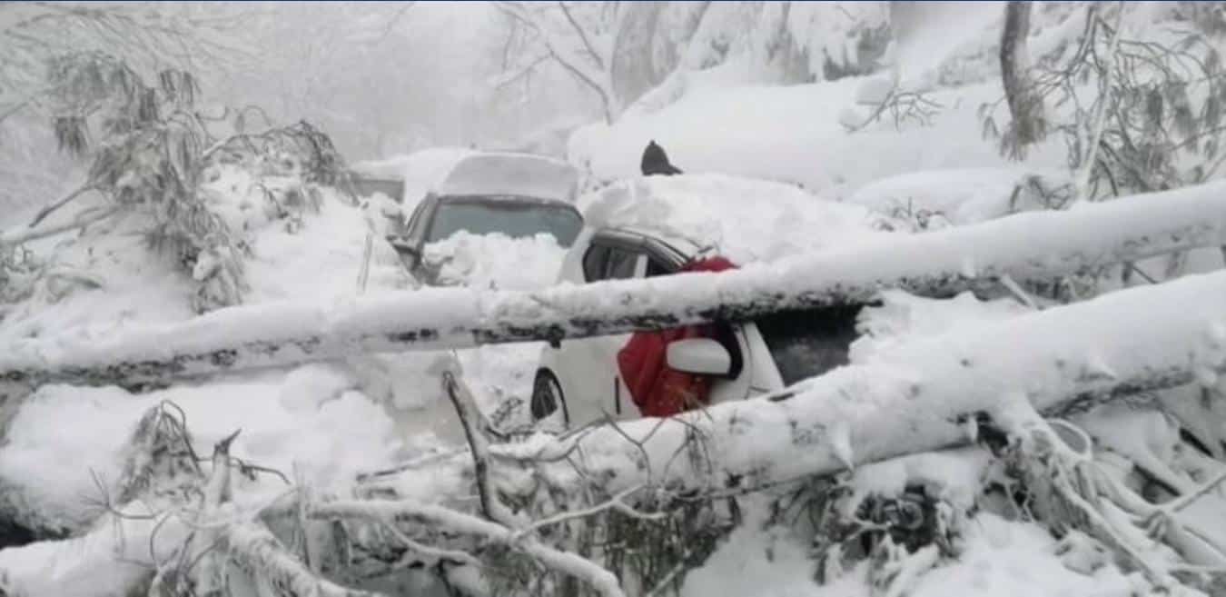 tempête de neige