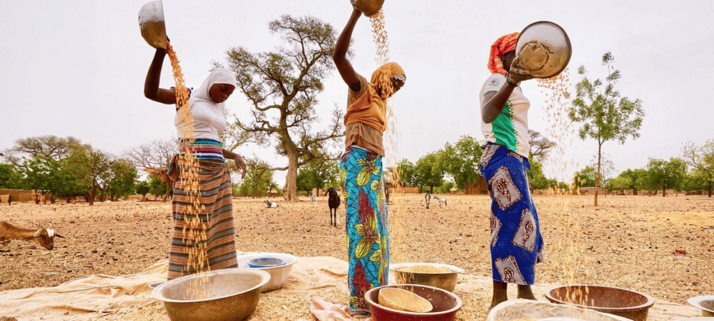 Afrique de l’Ouest : le PAM aide au dédommagement d’un demi-million de personnes grâce à une assurance climatique