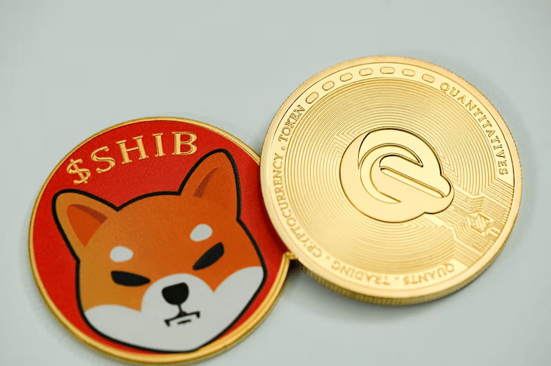 Top Dog Meme Coins : La nouvelle crypto-monnaie Dogetti s'engage à atteindre le Dogecoin et le Shiba Inu 4 image 15