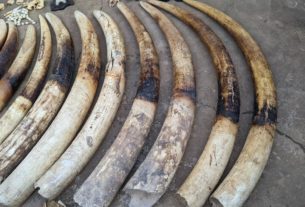 commerce illicite d’ivoire