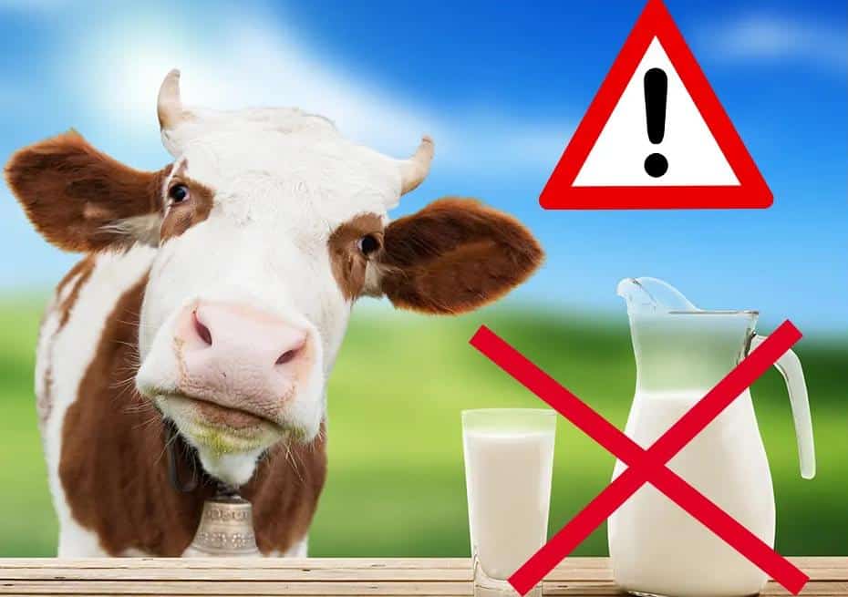 Révélation Choc au Cameroun : Le Lait est un Danger Silencieux pour Notre Santé