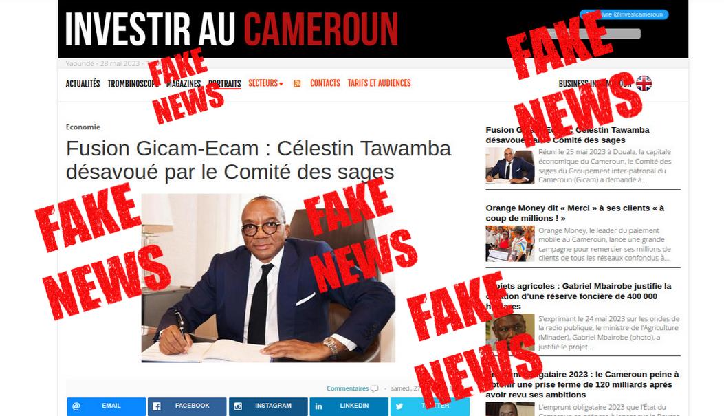 fakenews investiraucameroun