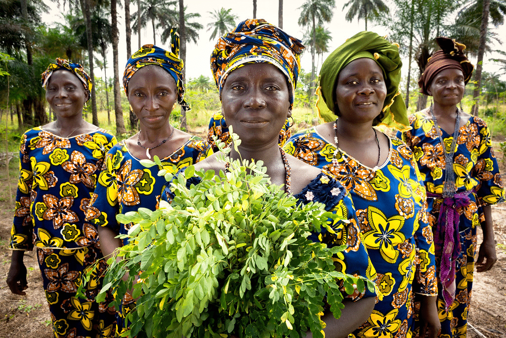 une priorite pour la guinee ameliorer le statut des femmes et filles