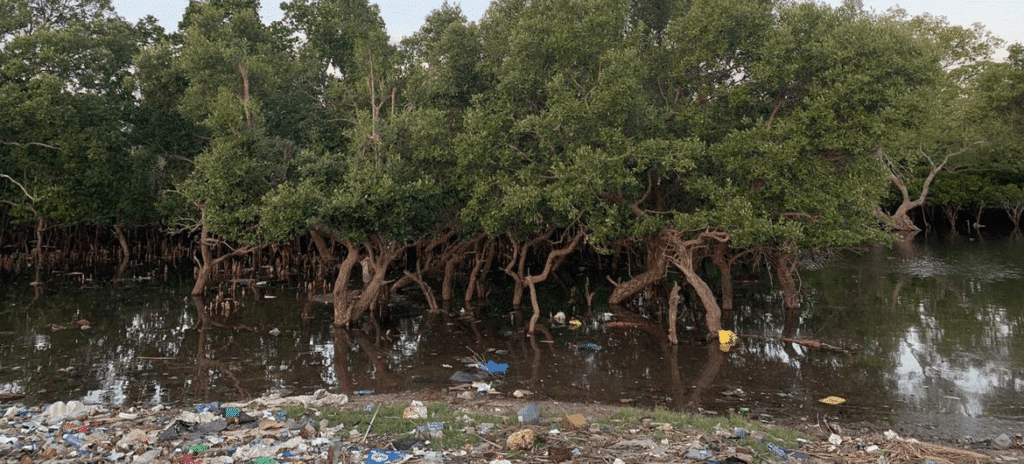 lafrique detient le pouvoir et les outils pour redessiner un avenir sans pollution plastique
