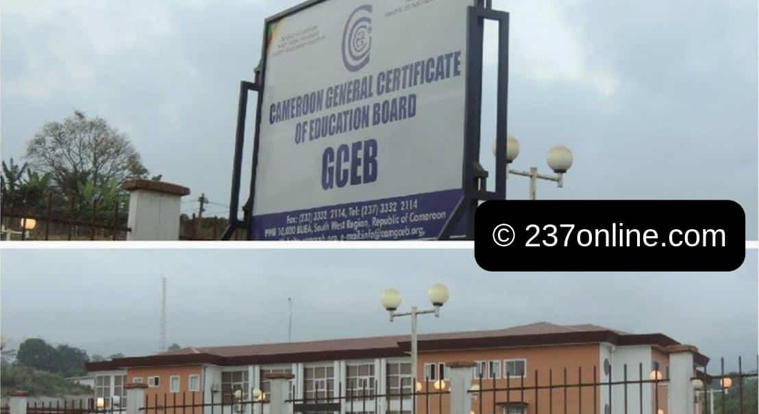 Cameroon GCE Ordinary Level 2023 Results: Now Available Online!