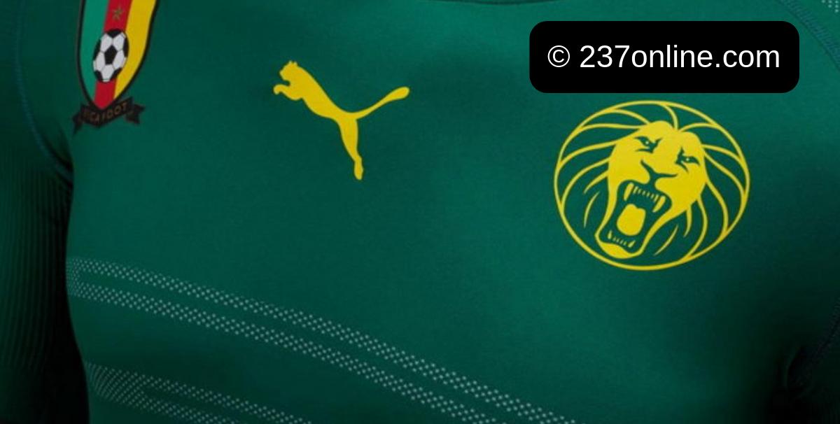 Puma, nouveau rugissement pour les Lions Indomptables du Cameroun?