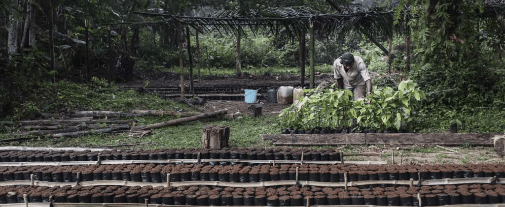 Mozambique : le Fonds africain de développement approuve un financement de 20 millions de dollars