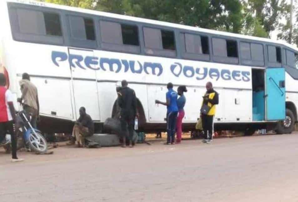 Premium Voyages