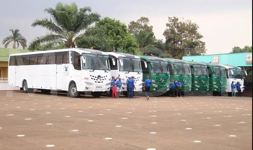 Sotrabus