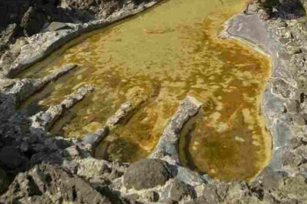 Empreintes géantes : le Cameroun sur les traces des Nephilim de la Bible ?