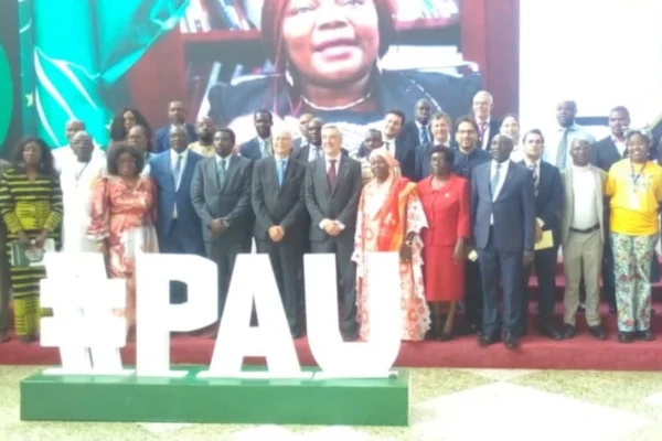 Education en Afrique : il est plus qu’urgent de repenser le système de la petite enfance au supérieur