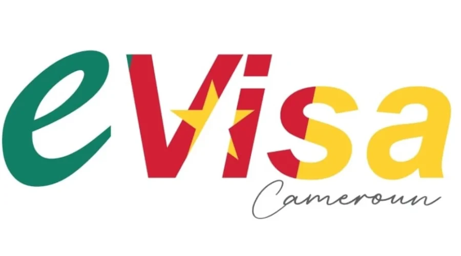 E-visa