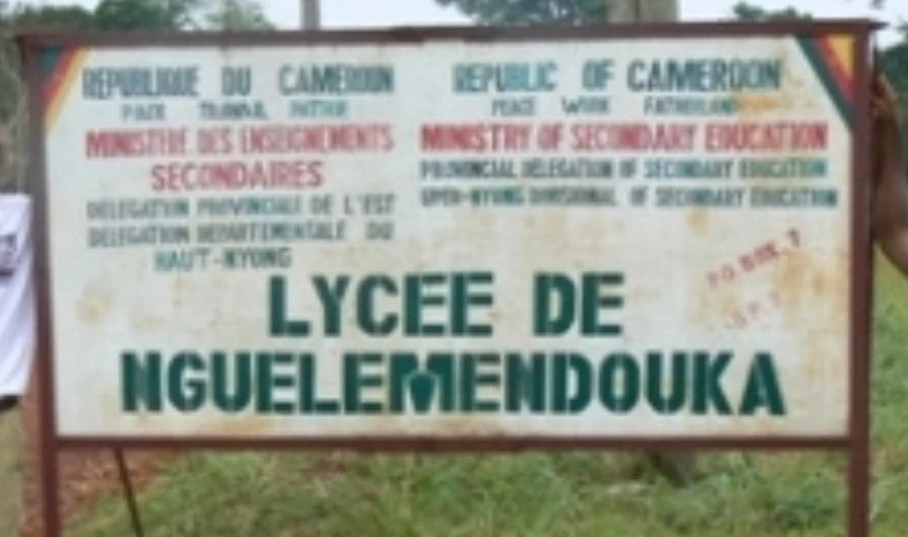 Lycee de Nguelemendouga