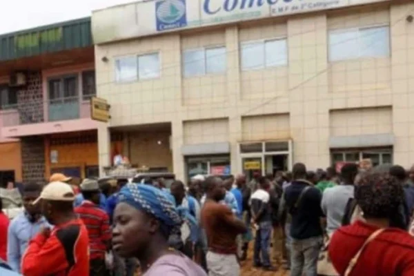 Cameroun : ACEP fête ses 25 ans, des experts tirent la sonnette d’alarme