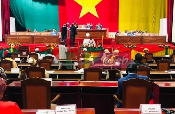 Cameroun : Le Sénat retrouve l’hémicycle, rendez-vous le 11 mars !