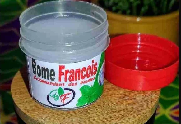 Cameroun : Mémorandum explosif – François Santé défie l’administration corrompue