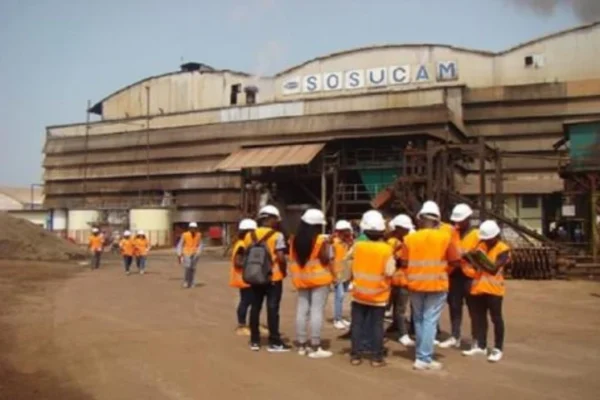 Cameroun : SOSUCAM augmente les salaires et améliore les conditions de travail