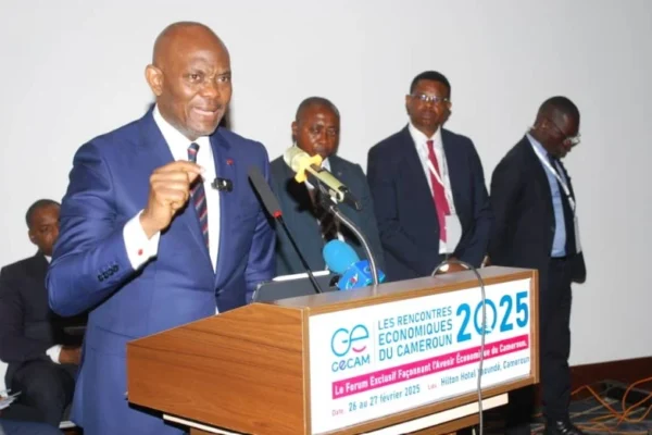 Tony Elumelu révolutionne le Cameroun : 5 clés magistrales pour transformer l’économie