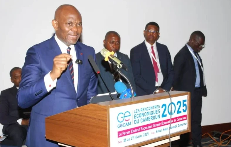 Tony Elumelu au Cameroun