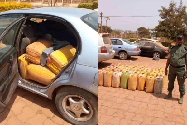 Carburant frelaté Cameroun: 3400 litres saisis dans l’Est, alerte sanitaire maximale