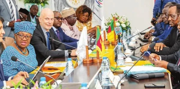 Cameroun : Conférence OMC Yaoundé, accord parfait !