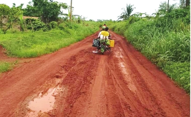 Route Cameroun : 30 km entre Mampang-Angossas bientôt construits en procédure accélérée !
