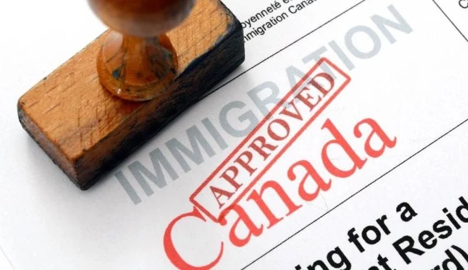 Cameroun-Québec : 9 127 départs choquent en 2024 !
