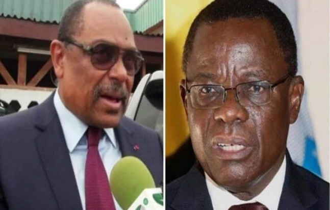 Grégoire Owona kamto