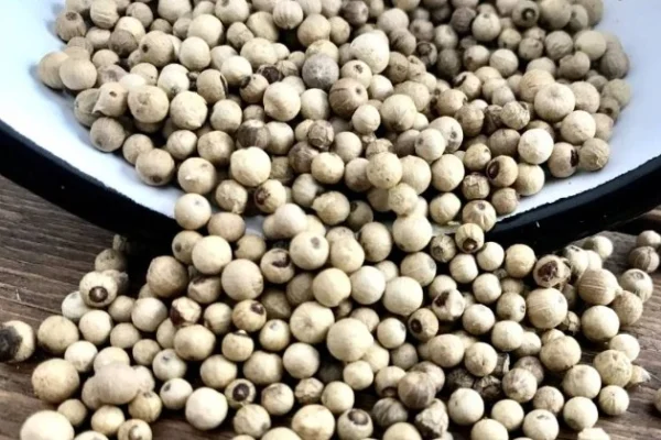 Cameroun Agriculture : Penja révèle un bouleversement économique