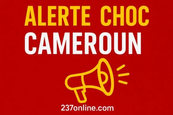 Cameroun – Yaoundé : coup de filet choc, un gang armé et un voleur de bébé arrêtés